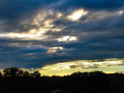 IMG_6554.jpg