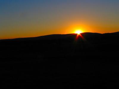 IMG_6723.jpg