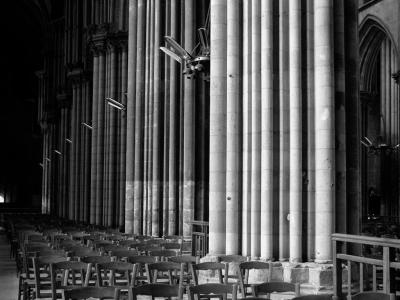 Cathedral: pillars in nave