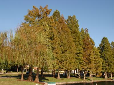 CRW_0763b.jpg