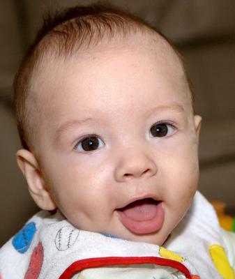 20-wks-Gerber-Baby.jpg