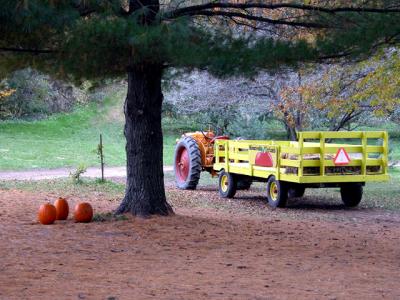 u21/cbowker/medium/35174439.hayride5.jpg