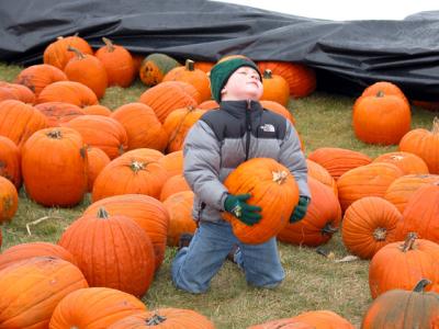 u21/cbowker/medium/35174452.rickypumpkin.jpg