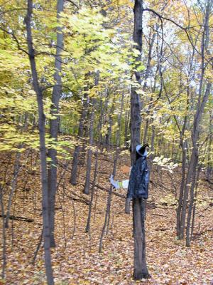 u21/cbowker/medium/35174454.witch.jpg