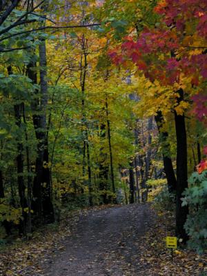 Minnetonka Orchard