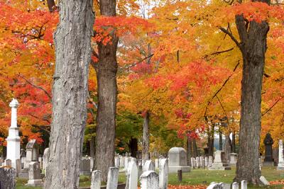 Maples, Pine Hill Cemetery in Dover