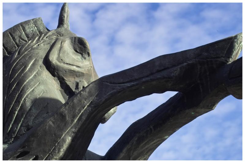 Chinese Zodiac -  Horse