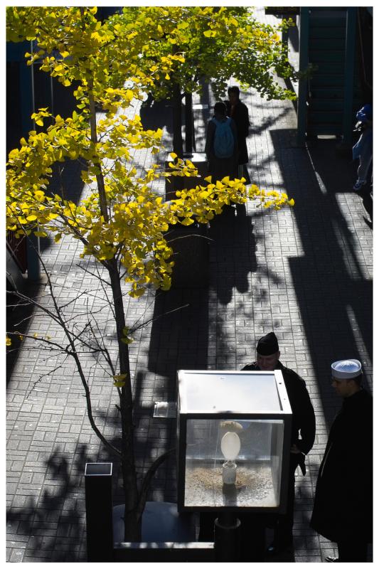 Walk way 2