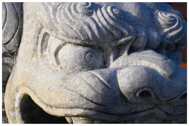 Stone Lion