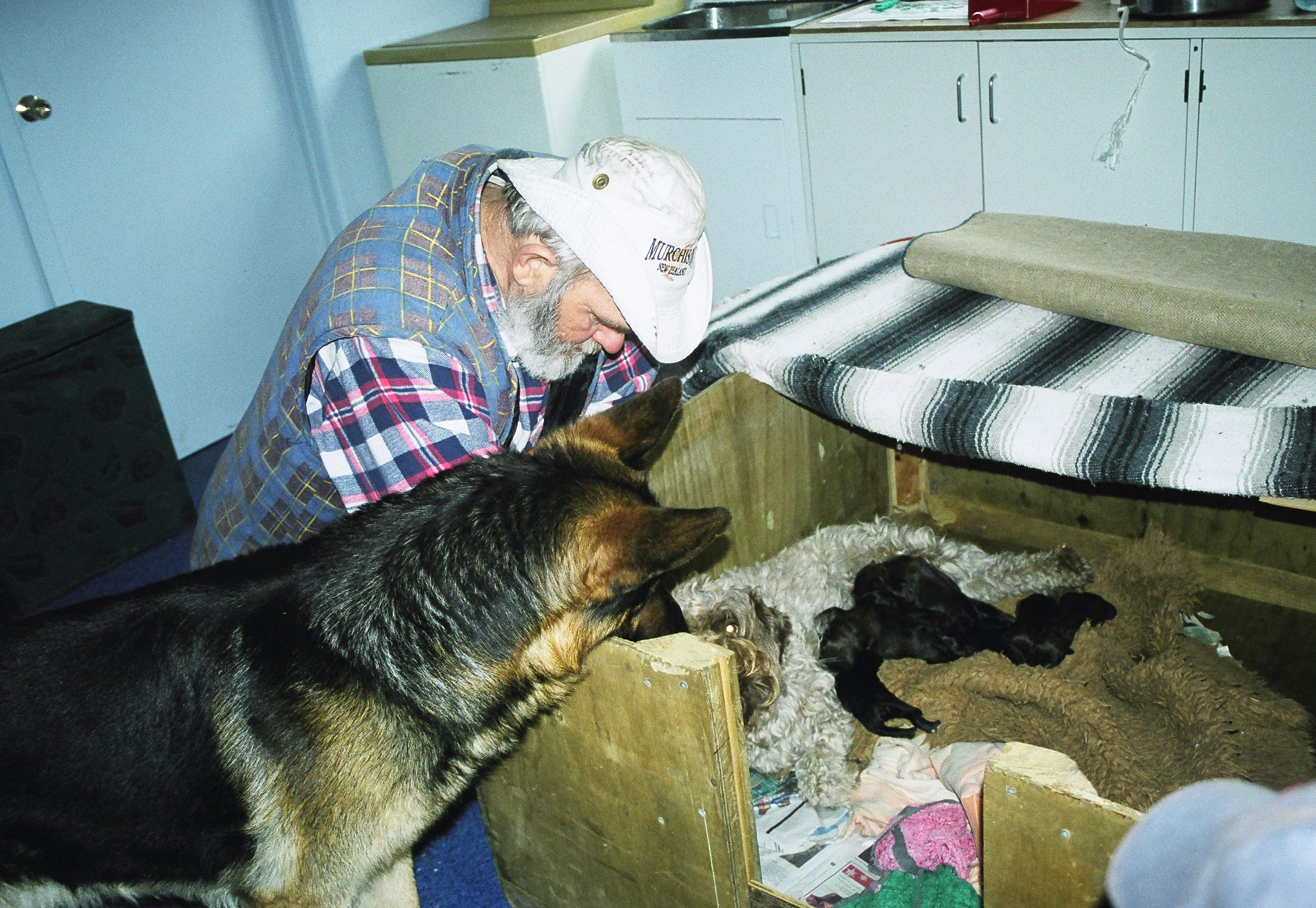 Maurice and the dogs