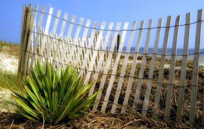 Fenced In