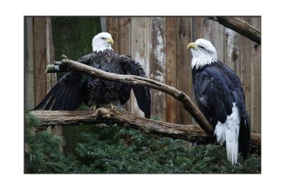 Male and Female together.