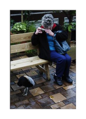This little bird is everyone's friend!