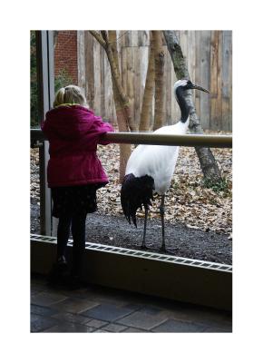 Same little girl enjoys the stork.