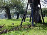 DSC04837.JPG