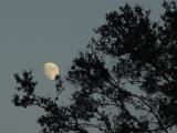 DSC02650.JPG
