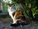DSC03042.JPG