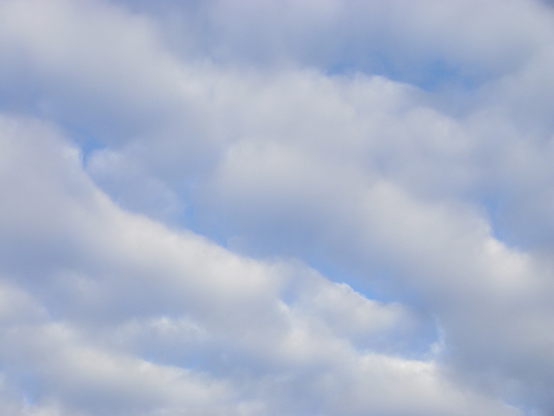 November 22, 2004<br><font size=2>He who is without sin...</font><br><b>Day 200</b>