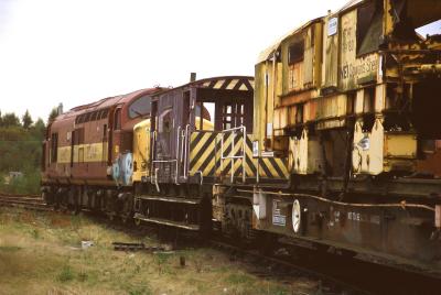 PICT0043.JPG