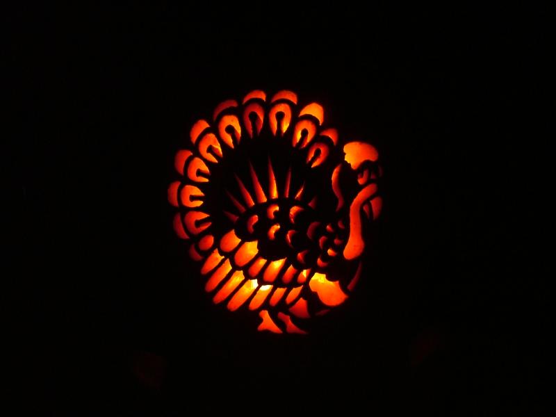 TurkeyPumpkin_03.JPG