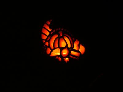 Cornucopia_05.JPG