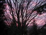 sunrise -- Nov--23--2004