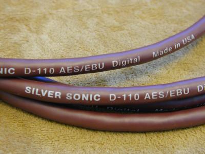 Silver Sonic D110