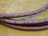 Silver Sonic D110