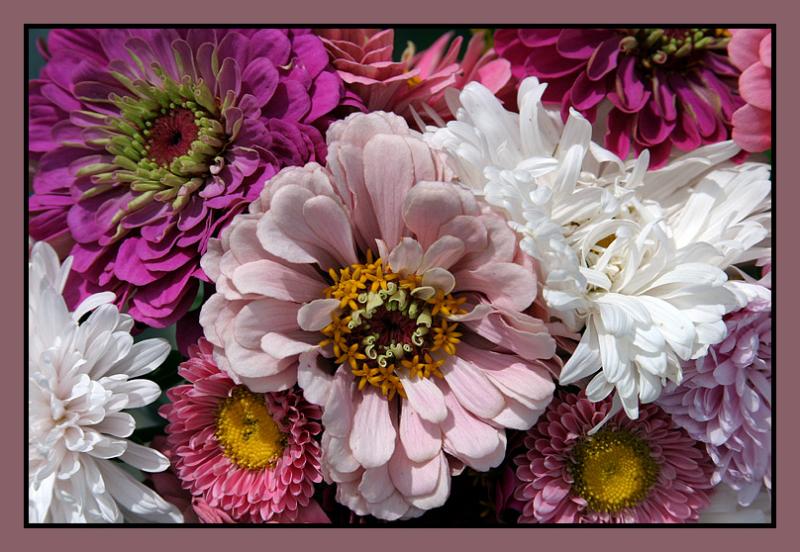 <B>Together in a Bunch</B><BR>*<FONT size=2>by Ann Chaikin</FONT>
