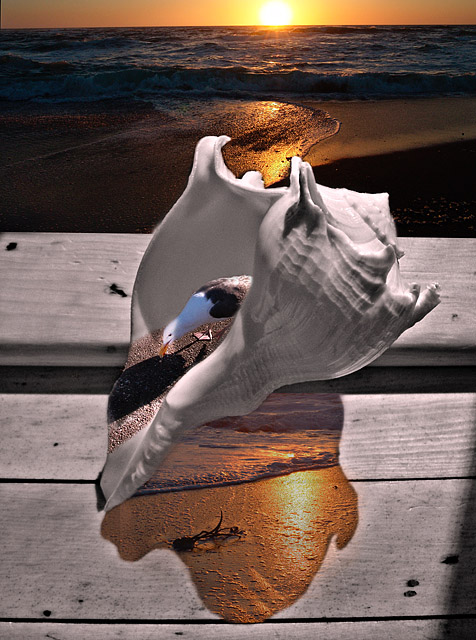 Sea Dreams *