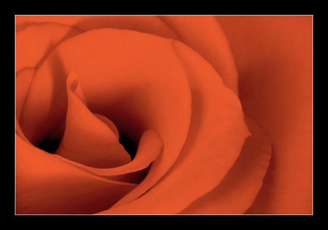 Simply Red*