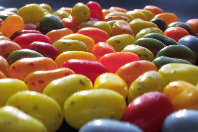 Third Place: The jellybean herd
