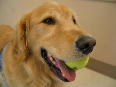 I've got the ball!