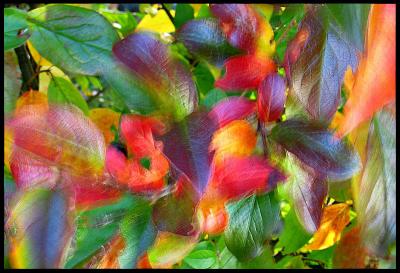 u21/ctfchallenge/medium/22022968.Colorseverywhere.jpg