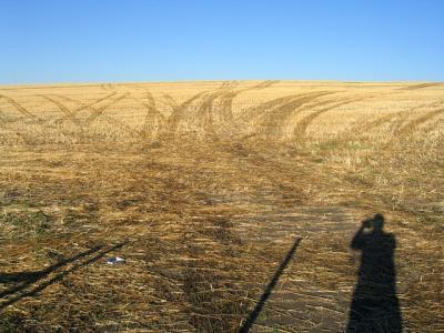 Rolling Prairies
