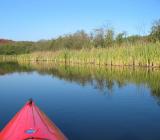 On the Lake
