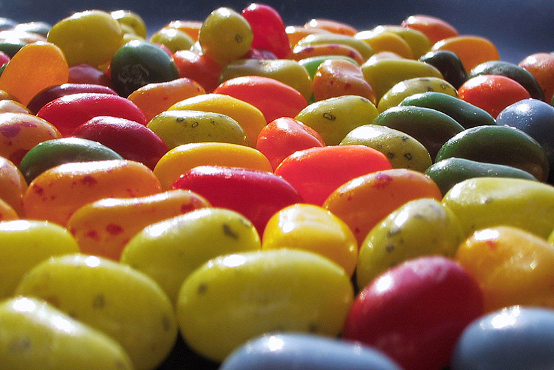 Third Place: The jellybean herd