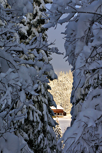 November snowfall  (*)