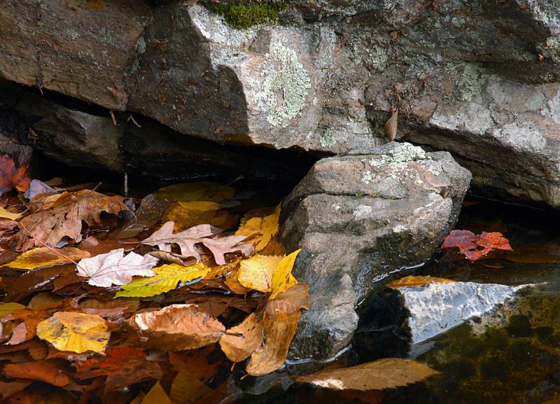 DSC_1754 W.jpg