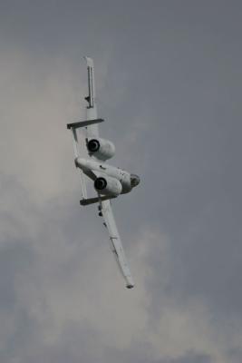 IMG_5598-web.jpg