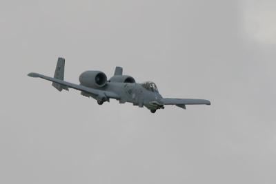 IMG_5678-web.jpg
