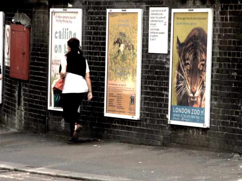 London Zoo