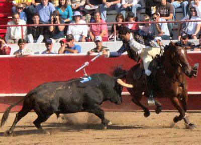 Thorton Bullfight, October 16, 2004