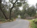 An overcast day at Folsom Lake