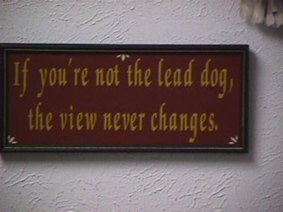 15leaddog.JPG