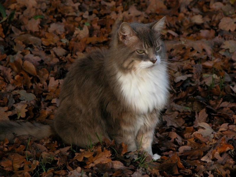 Hurry up and press the shutter, Im getting a damp bum here.