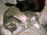 Wake us up when its teatime