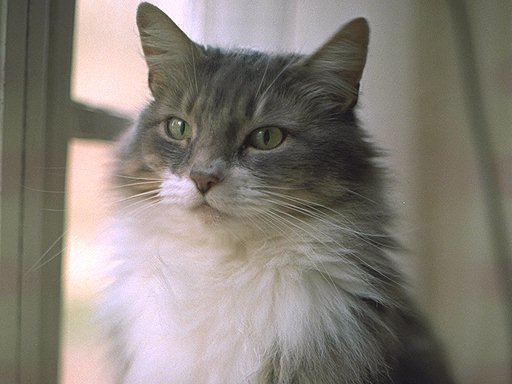 What a poser
