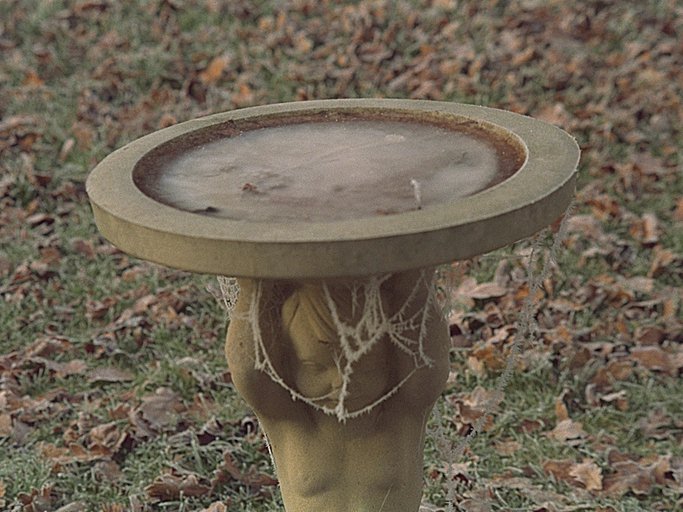 Frozen Birdbath