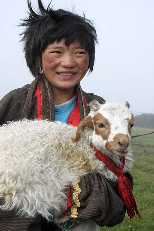 Face of Tibet